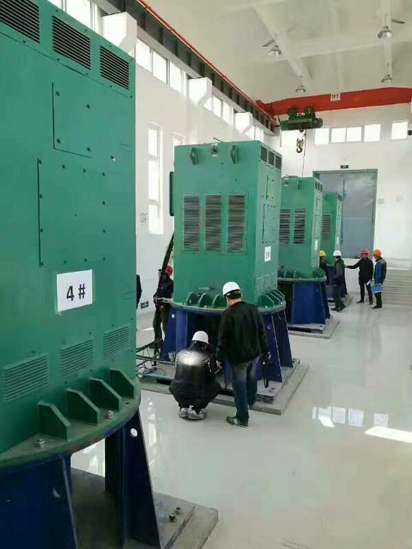 YKS5603-4/2000KW某污水处理厂使用我厂的立式高压电机安装现场