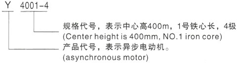 西安泰富西玛Y系列(H355-1000)高压YKS5603-4/2000KW三相异步电机型号说明